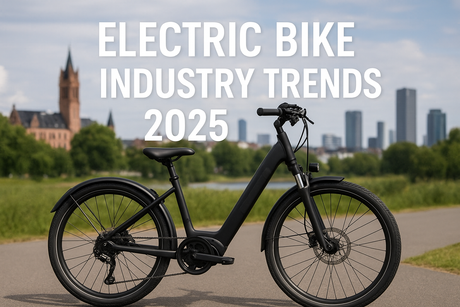 Electric Bike Industry Trends 2025: New Opportunities for Wholesale & Retail