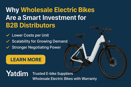 Why Wholesale Electric Bikes Are a Smart Investment for B2B Distributors