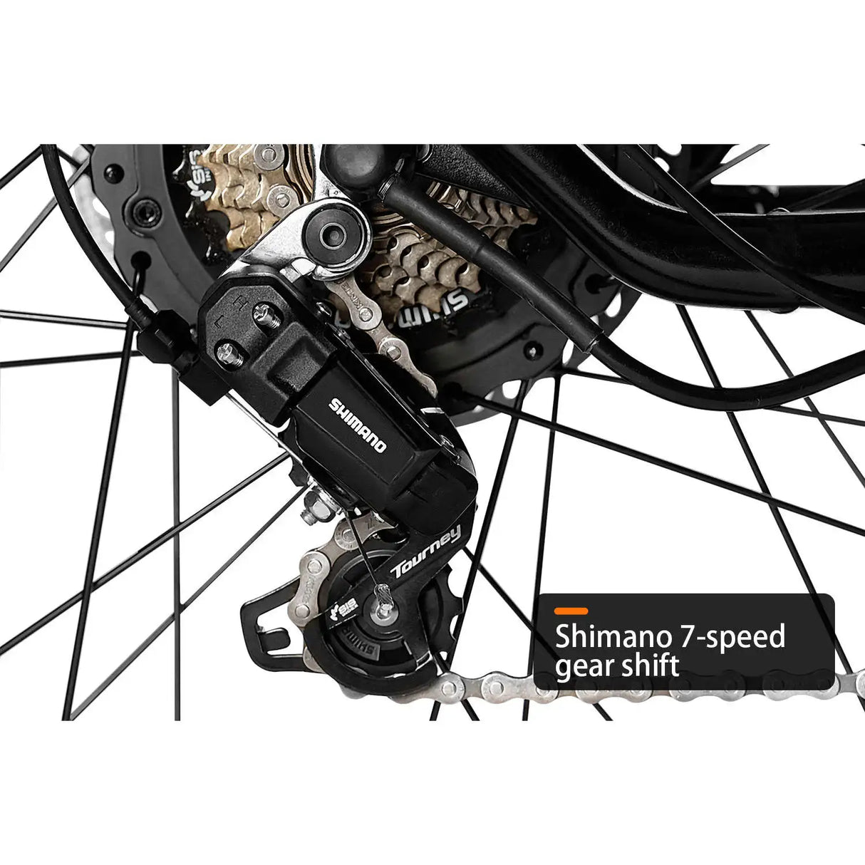 HAOQI Antelope Pro 750W Cargo Electric Bike (UL Certified)