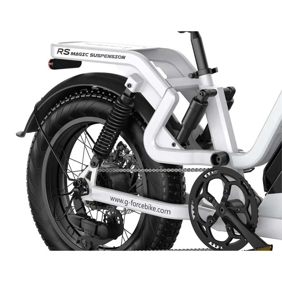 G-Force RS ST Electric Mountain Bike