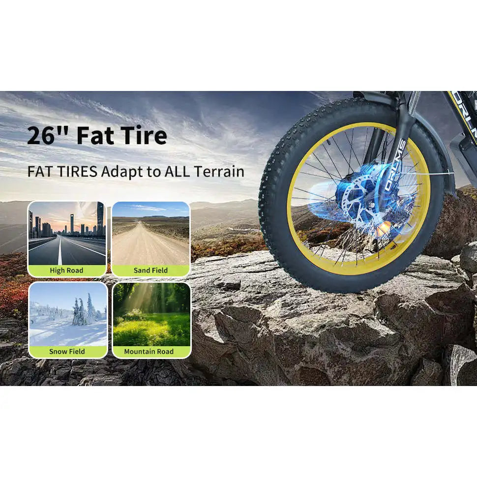 (USA Stock) SMLRO TS60 Dual Motors Electric Bike