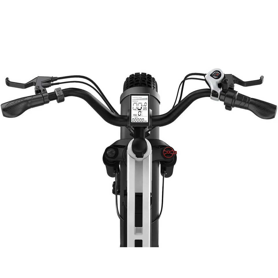 G-Force RS ST Electric Mountain Bike