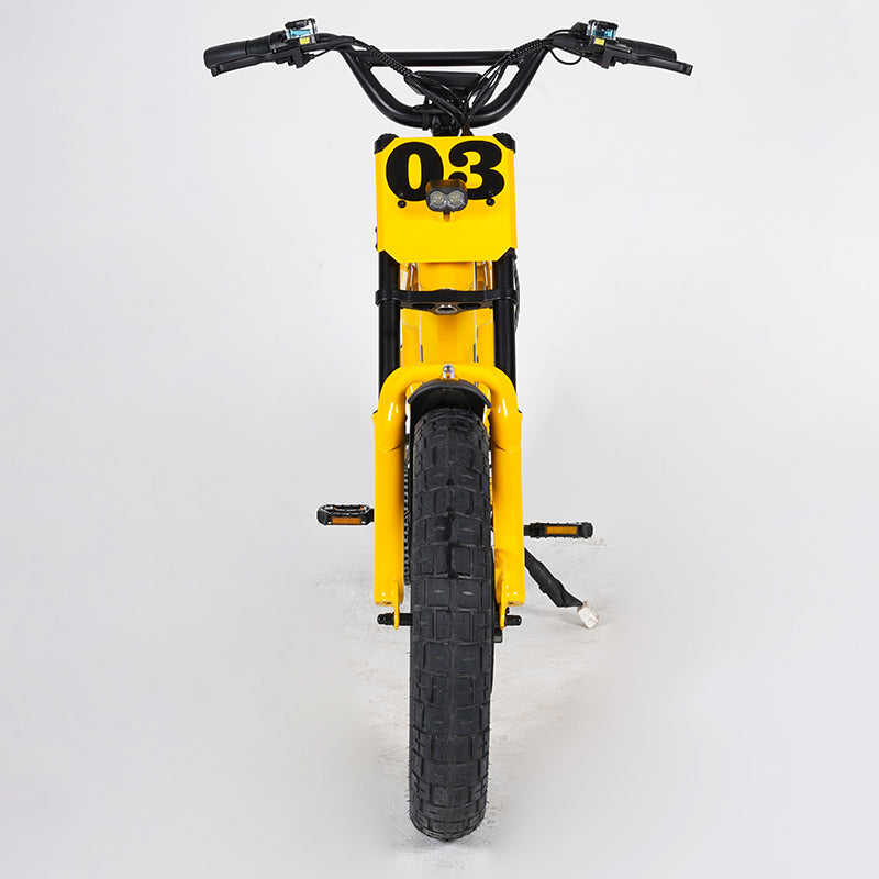 Mangosteen Student Ebike FT03 Best Bicycle College Students Central Rear Hub Motor Integrated Battery 60 km Range Electronic