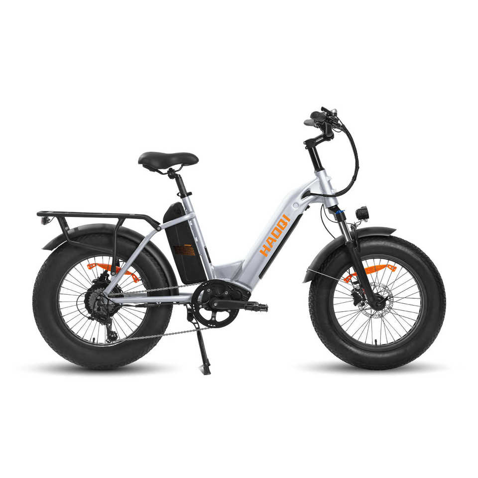 HAOQl 2.0 Antelope Dual-Akku Electric Cargo Bike with Lasten for Urban Commute