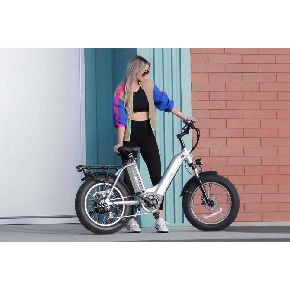 HAOQI Antelope Pro 750W Bafang Motor 16Ah+9Ah Battery 400 Lbs Payload Cargo Electric Bike
