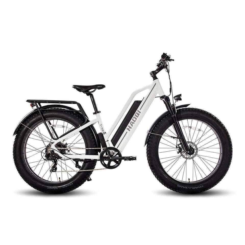 HAOQI for UL Certified White Leopard Pro Step Thru Electric City Bike