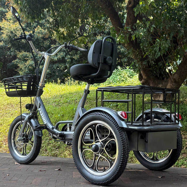 48v 350w Rear-Drive Foldable Cargo E-Trike Top Speed 25km/h 16 Inch Tire Electric Trike with Steel Body Open and Closed Type