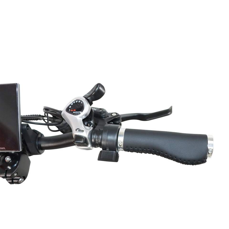 250W 48V 13Ah Adult Folding Ebike Günstiger Preis Leichte Stadt 20 Fat Tire E-Bike