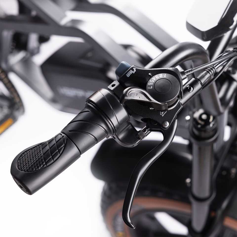 Happyrun G60 Tank 1500W Electric Bike with Integrated 250W Motor Fat Tire All Terrain 60KM Range Electric Cycle Motorcycle