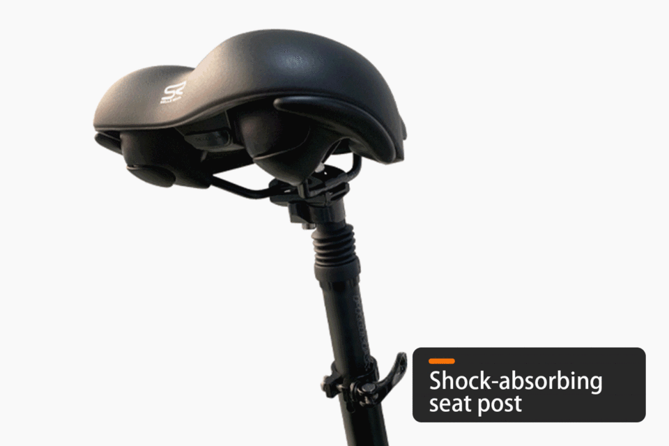 HAOQI for UL Certified Black Leopard Pro Fat Tire Electric Bike