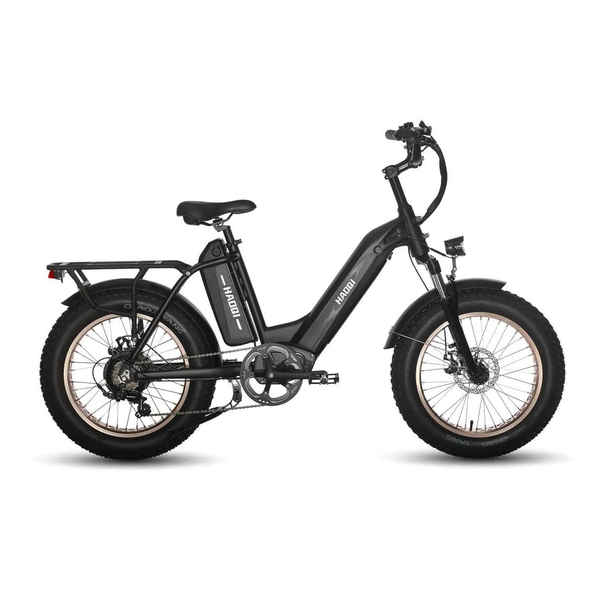 HAOQI Antelope Pro 750W Cargo Electric Bike (UL Certified)