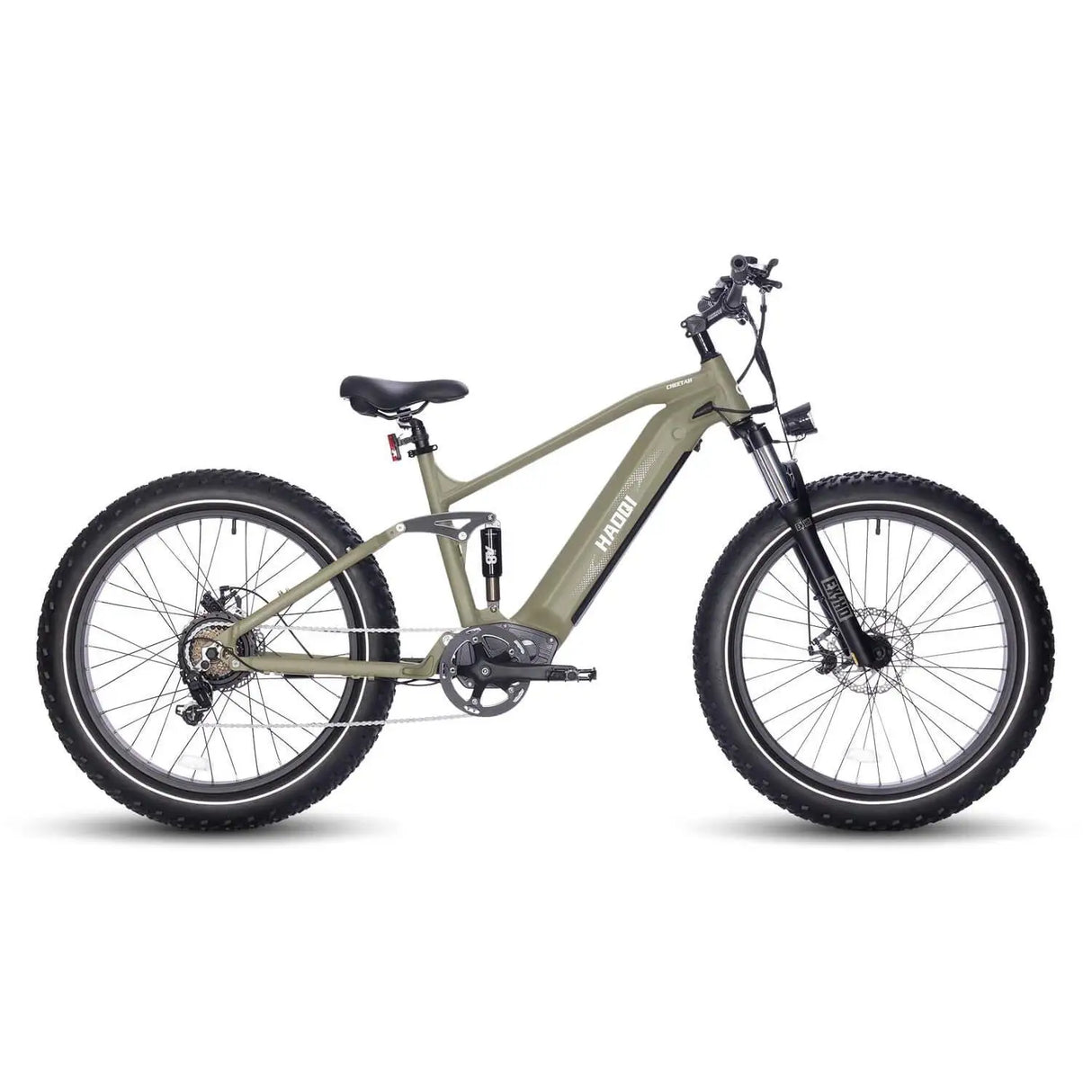 HAOQI Cheetah Dual Battery Electric Bike