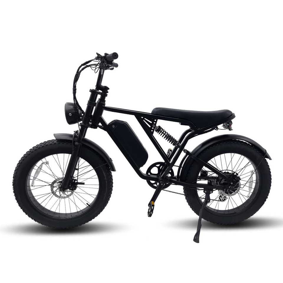 YANGOR Y-24 24inch Fat Tire 48V 500W Electric Bike Fat Tire Motorcycle