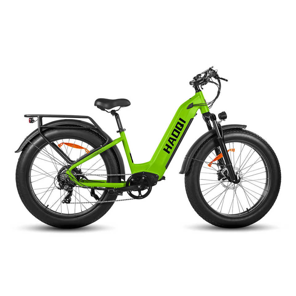 HAOQl All-Terrain 2.0 Electric Mountain Bike 250w Rear Hub Motor 48v Carbon Aluminum Frame 60km Range per Power Step Thru Eagle