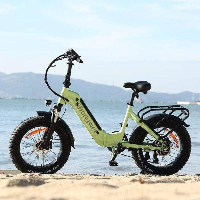 Bodywel F20pro 20*4.0 Fat Tyre E-Bike 250W Motor 25km/h Speed 264lbs Load Capacity 48V 15AH Battery Max 120KM Range Black/Green
