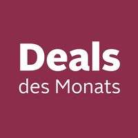 Elektromobil ZVGREEN-DJ(x)-1000-S25 Handicapped Scooter with 3-Gang 1000 W Motor High Mobility Roller