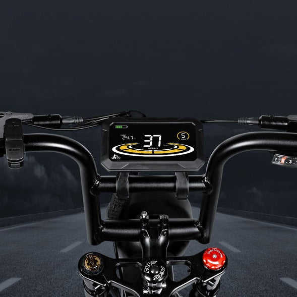 M20-III 2000W Hybrid Electric City Bike Rear Hub Motor Range 50km Smart Electronic Dual Rim 15ah Battery Black/Brown/Green