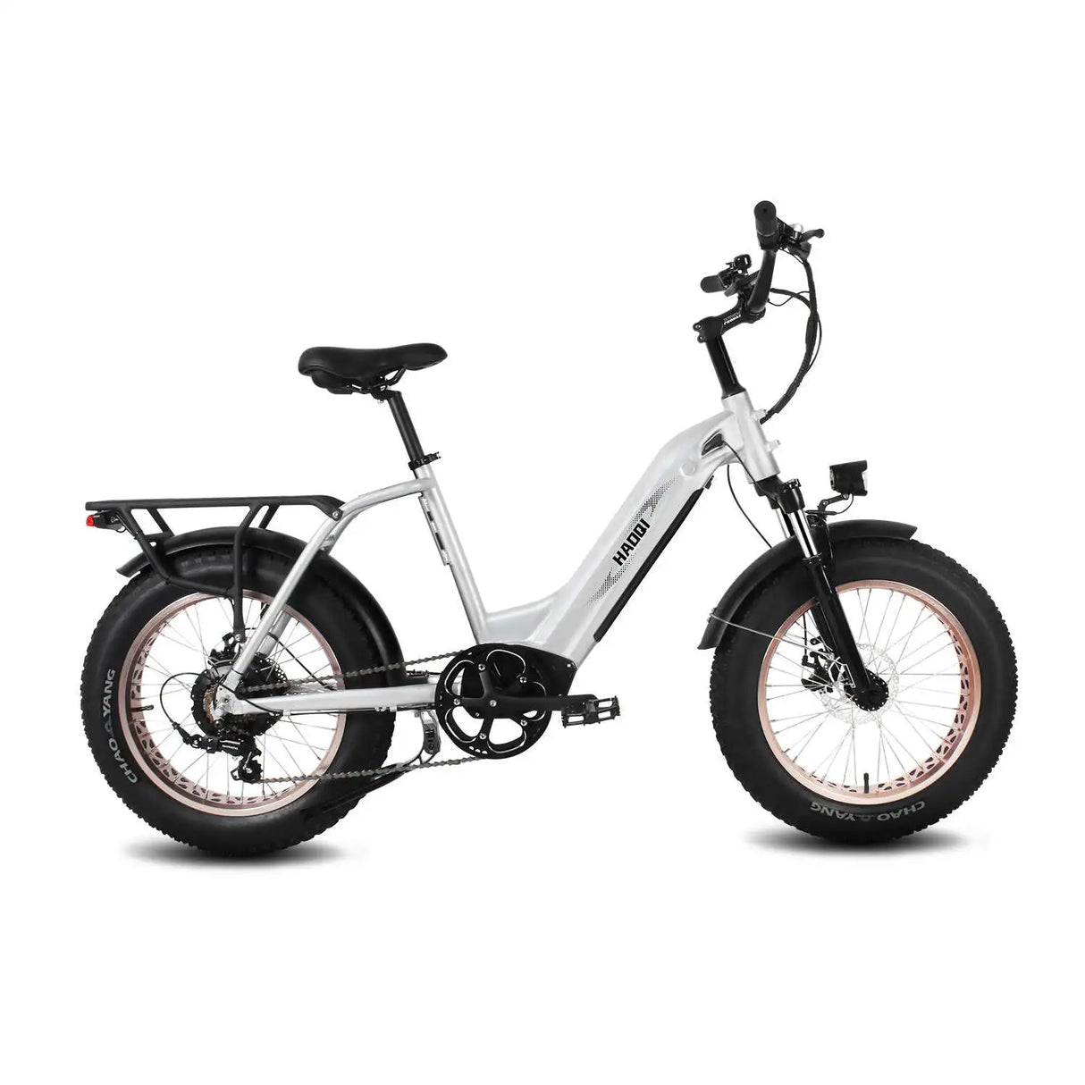 HAOQI Antelope Pro 750W Cargo Electric Bike (UL Certified)