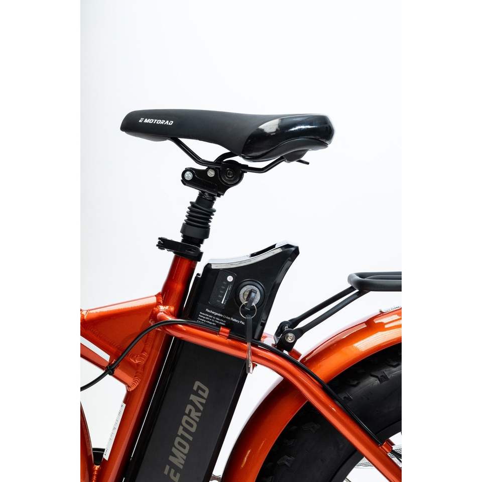 Teledo 250W Elektrofahrräd 20 * 4.0” Tires E-fahrräd Ebike 36V 13Ah 25km/h