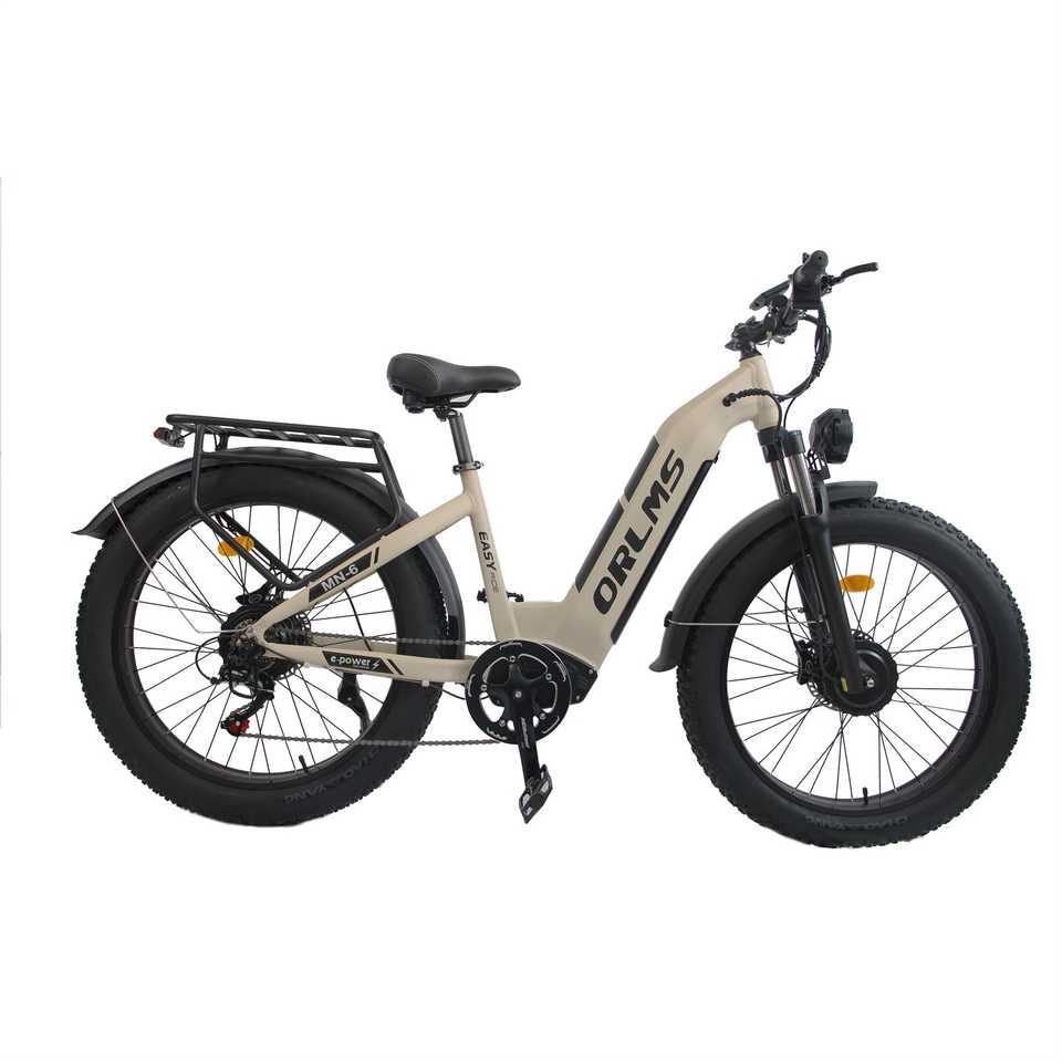(EU Stock) SMLRO-ORLMS MN-6 Dual Motors Electric Bike
