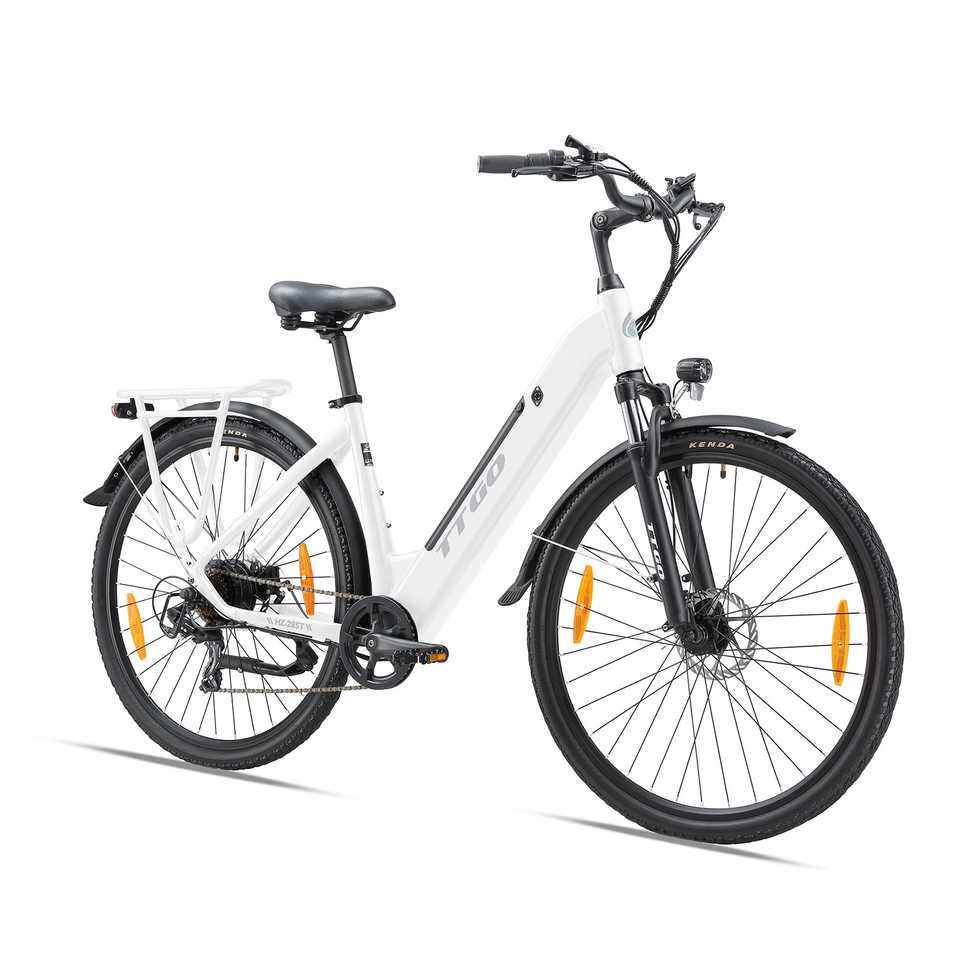 TTGO C3 (HZ-28ST) Electric City Bike for Urban Commute