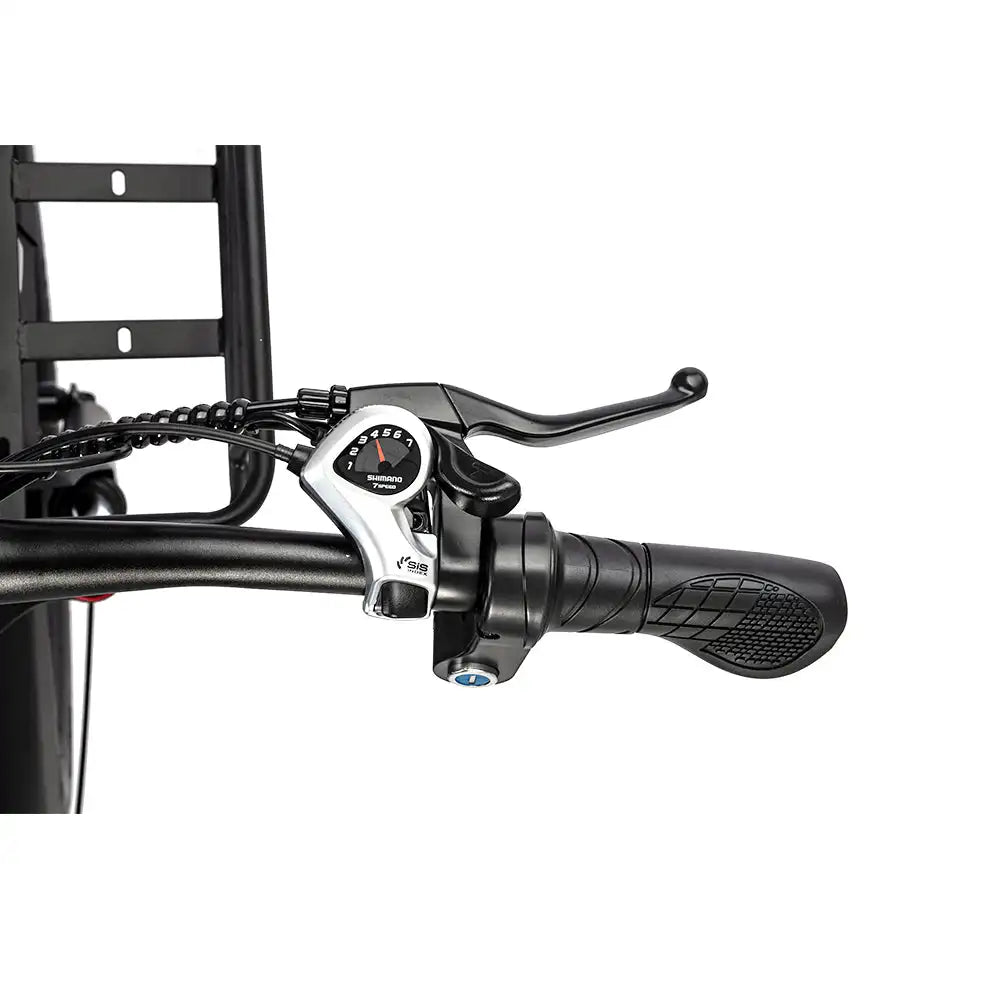 RIDSTAR MN26 26" City-Elektrofahrrad, 750-W-Motor, 48-V-20-Ah-Lithium-Akku, Rahmen aus Aluminiumlegierung, 7 Gänge, digitale Schaltung, Gepäckträger