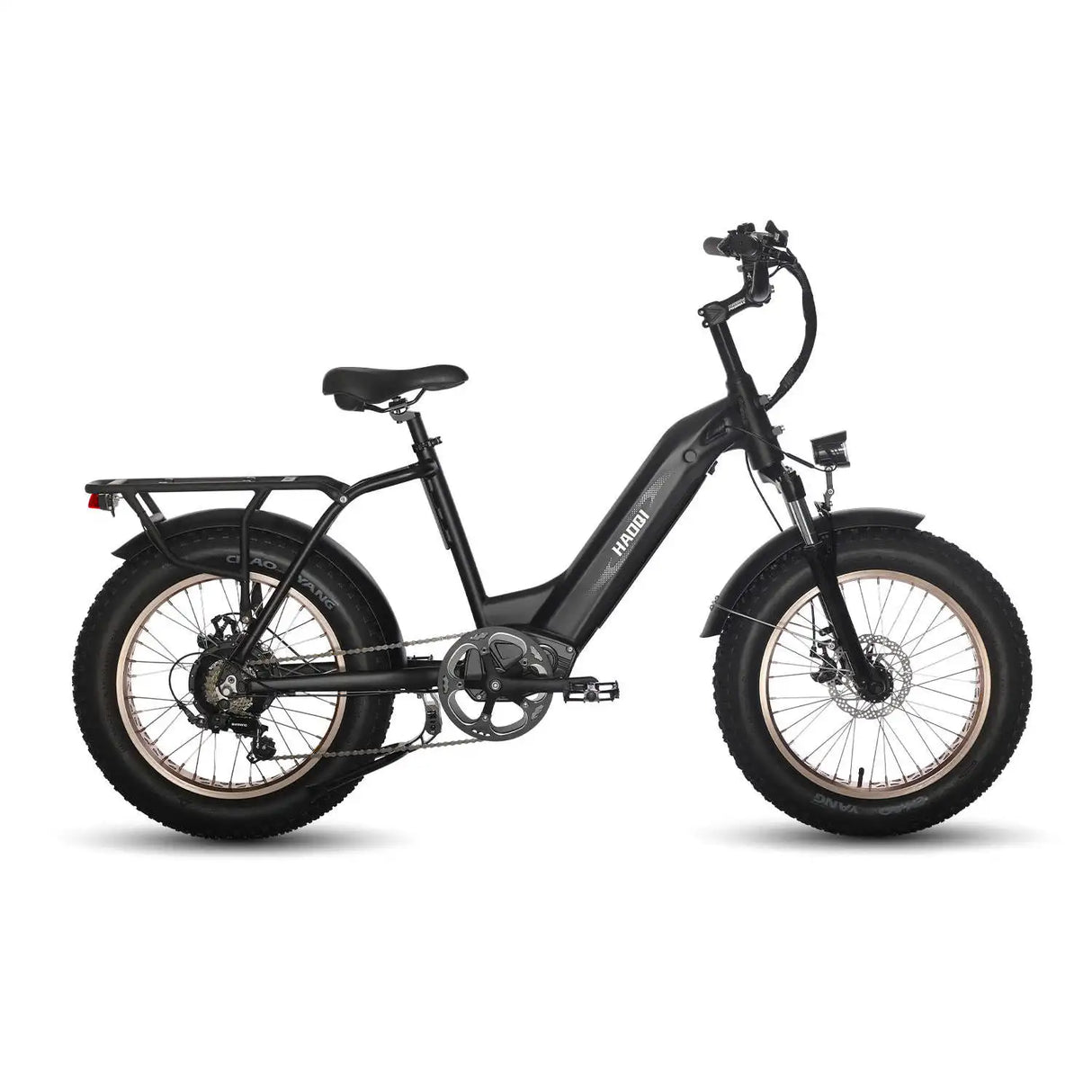 HAOQI Antelope Pro 750W Cargo Electric Bike (UL Certified)