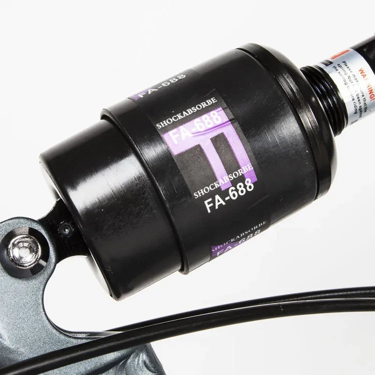 Für SAMEBIKE XWLX09 750W Elektro-Mountainbike, 20-Zoll-Reifen, Höchstgeschwindigkeit 32 km/h, Tragfähigkeit 150 kg