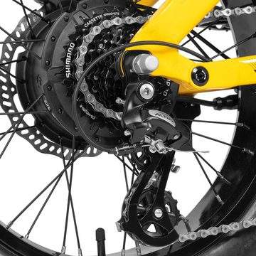 DOTMALL 250W 52V20Ah All-Terrain Electric Mountain Bike Cyrauser Kommoda Pro E-Bike 25km/h 150kg