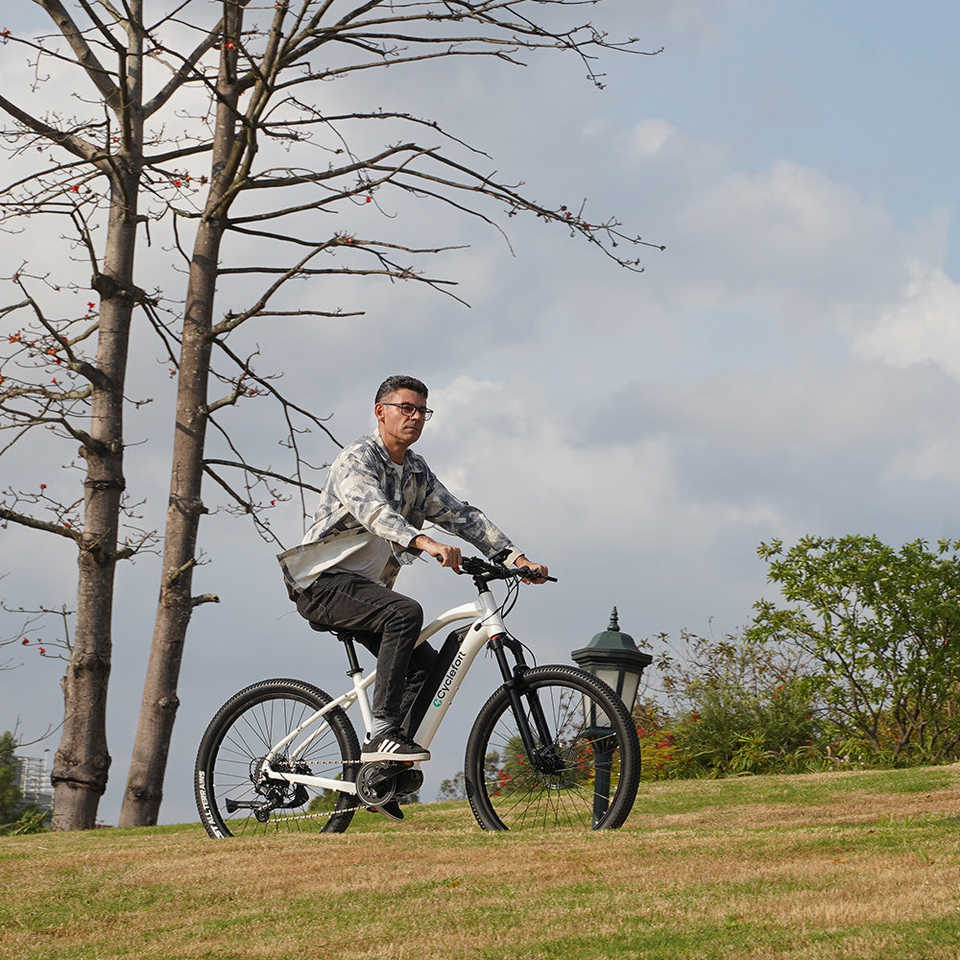 L5 Electric Mountain Bike