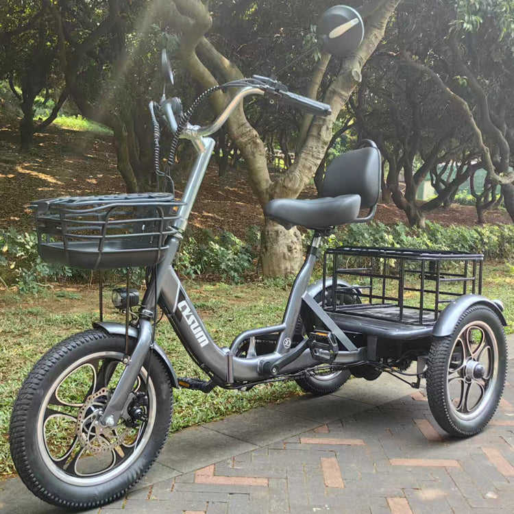48v 350w Rear-Drive Foldable Cargo E-Trike Top Speed 25km/h 16 Inch Tire Electric Trike with Steel Body Open and Closed Type