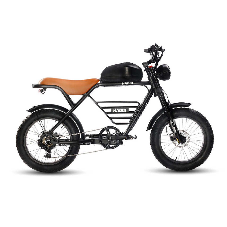 52V 1000W Electric Cafe Racer with 26.1AH Battery HAOQI Rhino