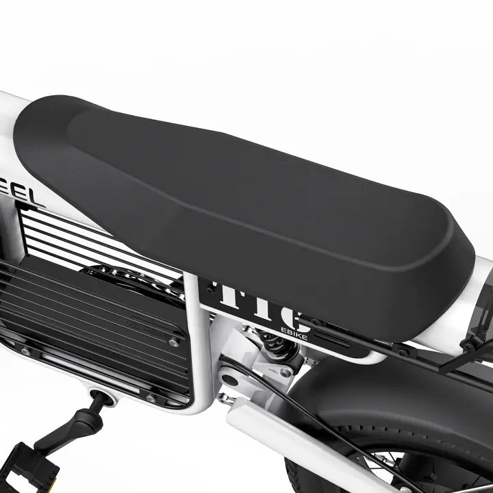 T16 EBIKE Electric Mountain Bike