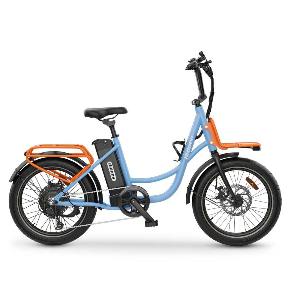 Hidoes C6 Electric Bike