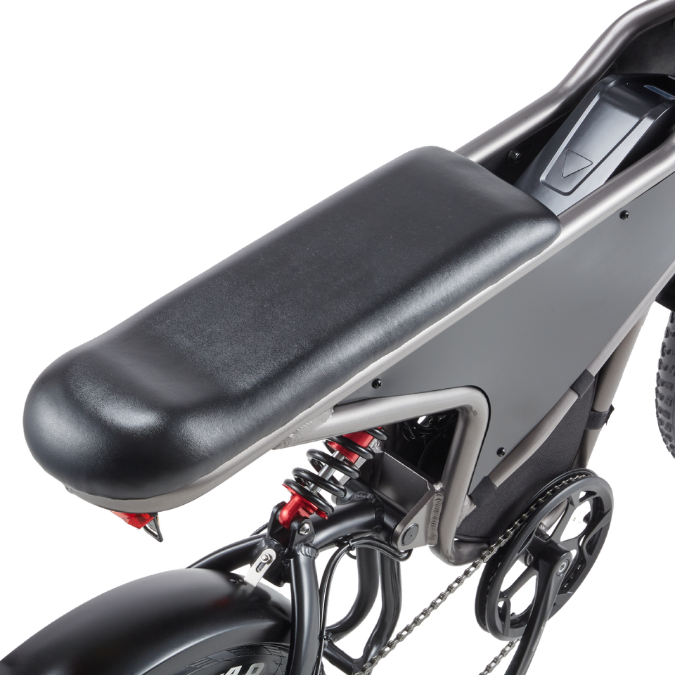 RANDRIDE DM711 Electric Motorcycle Dual Motor Drive 1000W*2 Peak Power for City Commuting