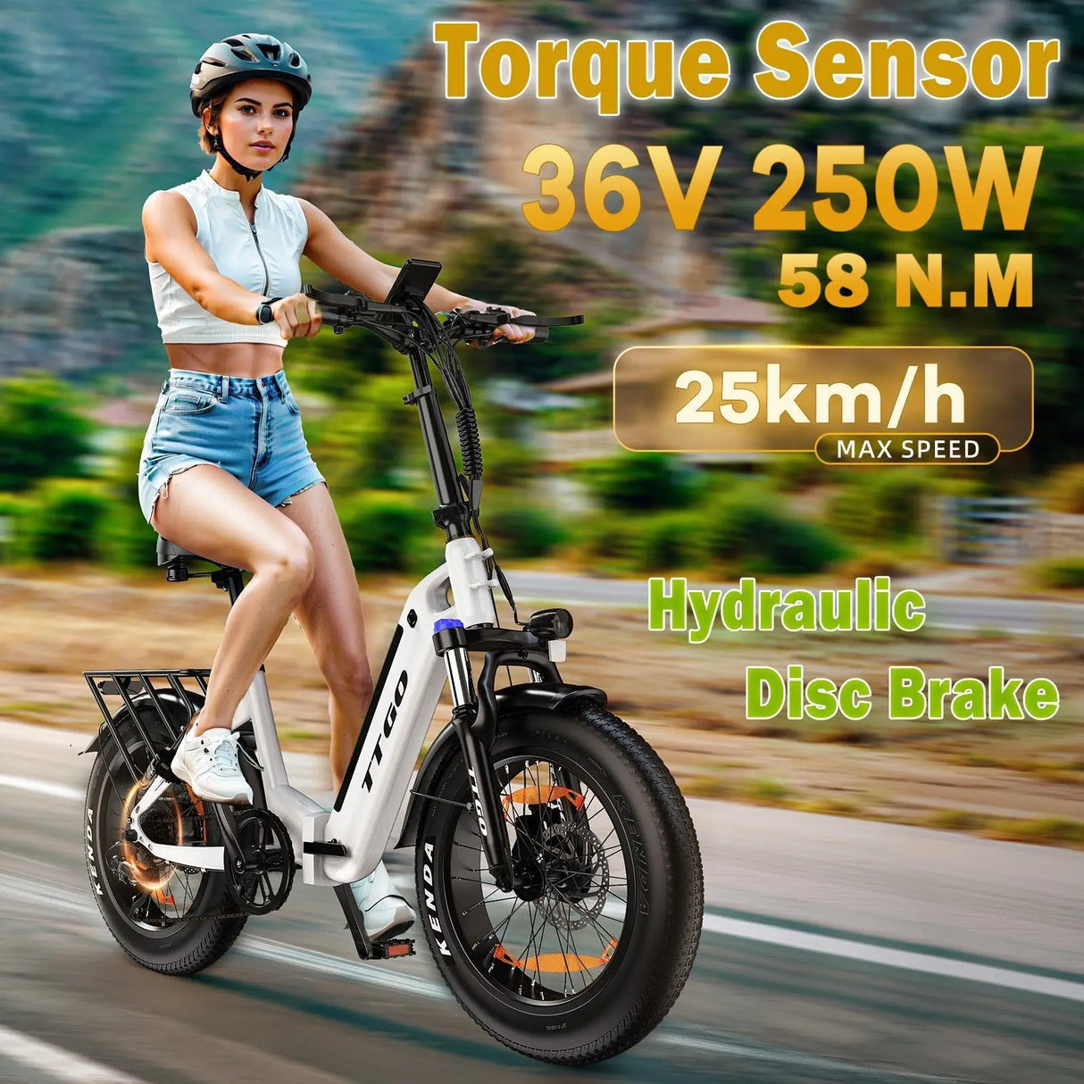 TTGO F6 Faltbares E-Bike, 250 W 45 N.M Motor, 25 Ah große Batterie