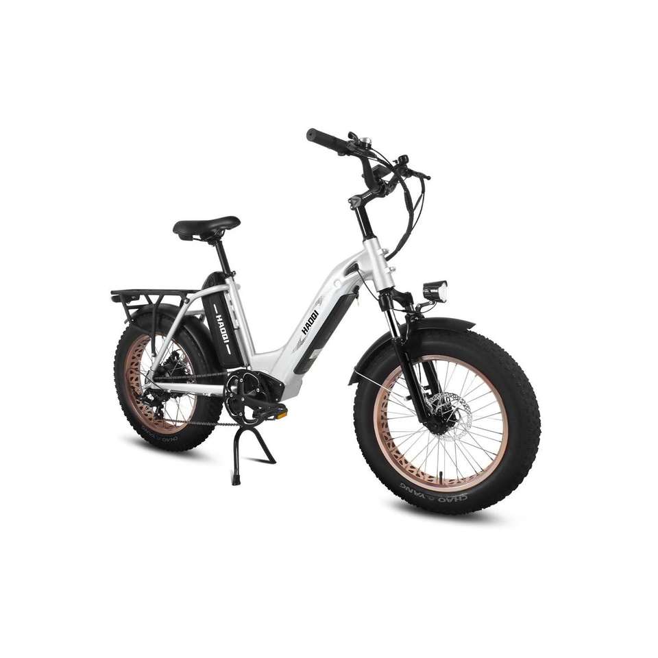 HAOQI Antelope Pro 750W Bafang Motor 16Ah+9Ah Battery 400 Lbs Payload Cargo Electric Bike