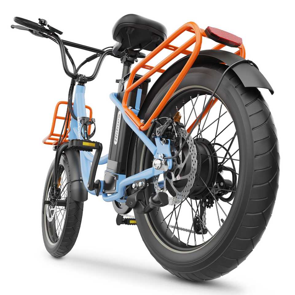Hidoes C6 Electric Bike
