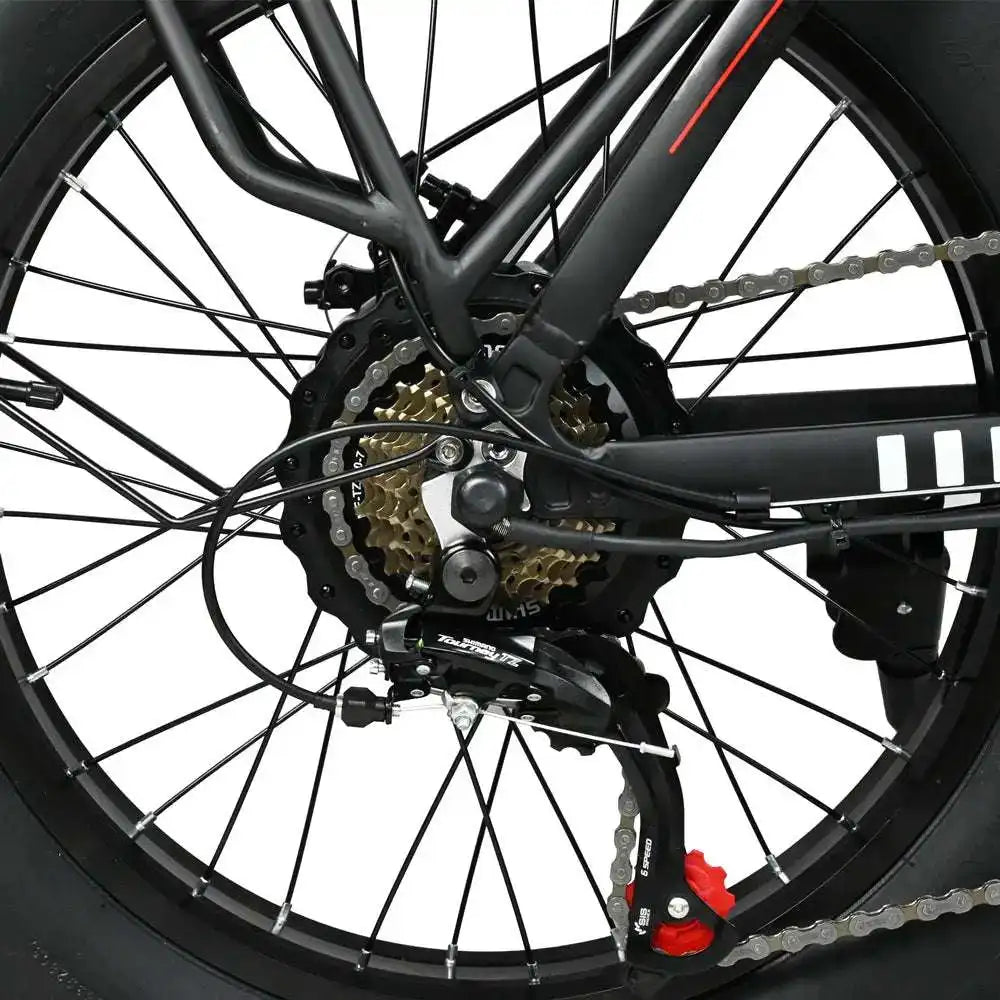 BAOLUJIE DZ2002 20-Fold City Electric Bike with 500W Motor 48V 13Ah Lithium Battery Fat Tire Electric Bike with Rear Hub Motor