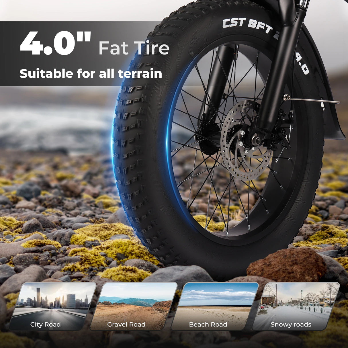 VARUN S20-1 E-Bike Folding Bike Foldable E-Bike 20 inch 250W VARUN 48v13AH Mountain and flat roads