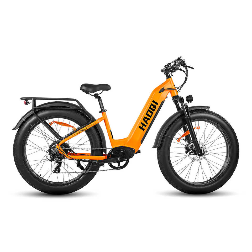 HAOQl All-Terrain 2.0 Electric Mountain Bike 250w Rear Hub Motor 48v Carbon Aluminum Frame 60km Range per Power Step Thru Eagle