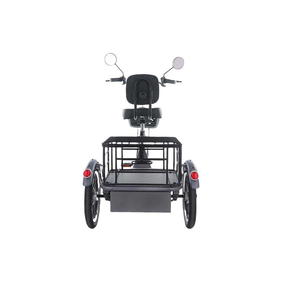 48v 350w Rear-Drive Foldable Cargo E-Trike Top Speed 25km/h 16 Inch Tire Electric Trike with Steel Body Open and Closed Type