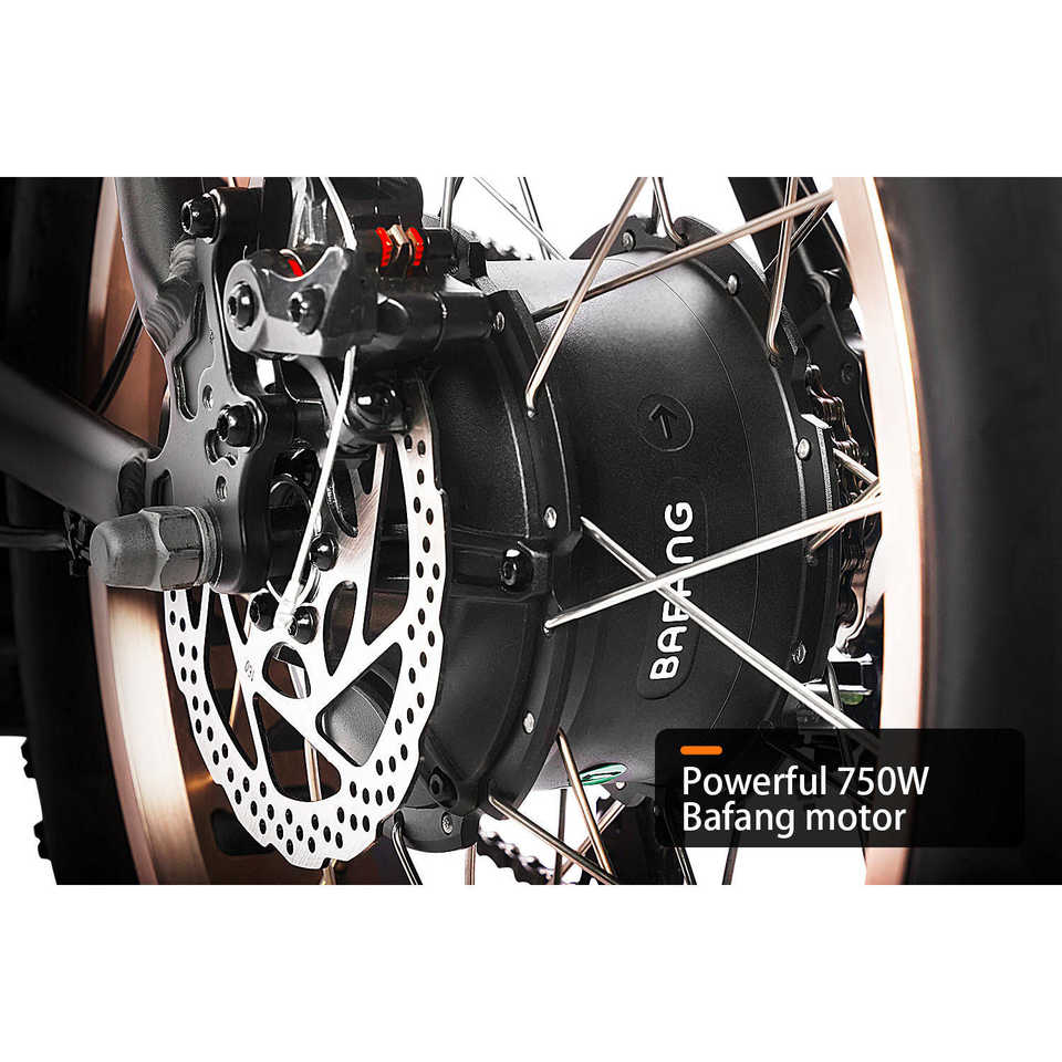 HAOQI Antelope Pro 750W Bafang Motor 16Ah+9Ah Battery 400 Lbs Payload Cargo Electric Bike