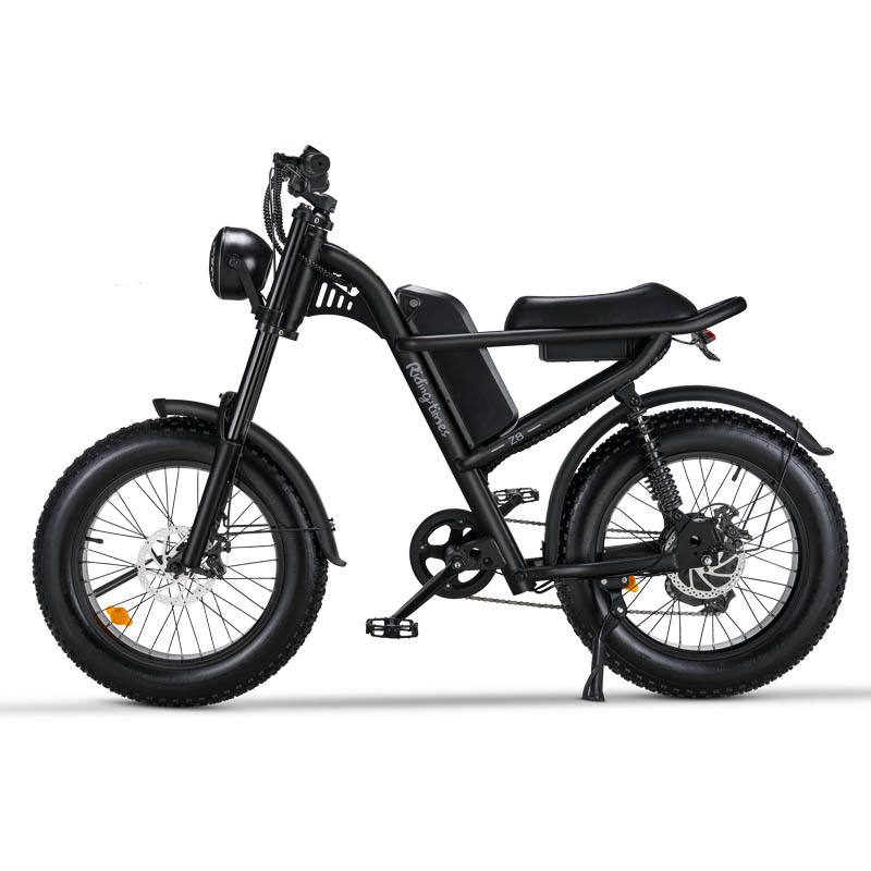 20*4.0 Inch Riding'time Z8 Electric Mountain Bike 48V 15.6A 500W