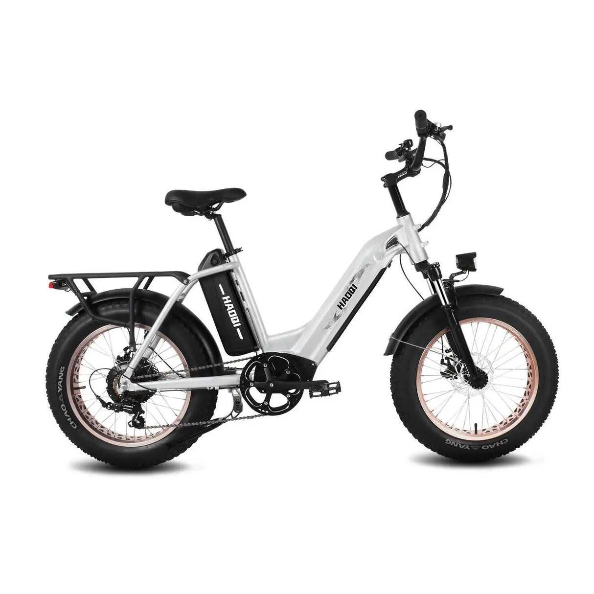 HAOQI Antelope Pro 750W Cargo Electric Bike (UL Certified)
