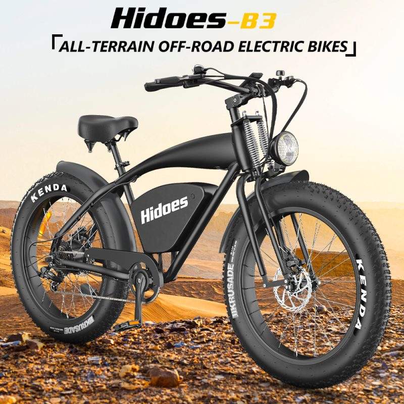 Hidoes B3 750W Electric Mountain Bike 26 Inch Fat Wheel 48V 18.2Ah Battery 750W Motor Electric Bicycle