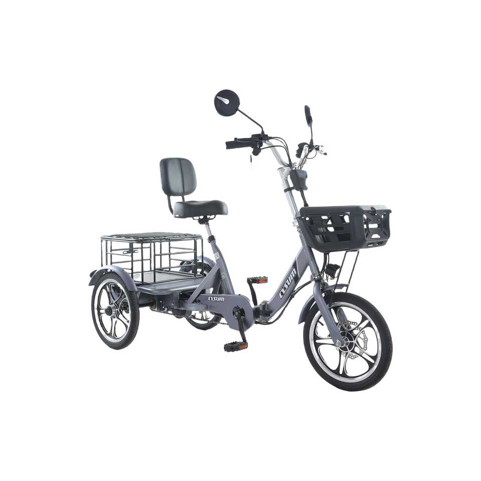 48V 350W Brushless Hub Motor Rear-Drive Foldable Cargo E-Trike 16" Tire 25km/h Top Speed 200kg Max Load 100-150km Range High