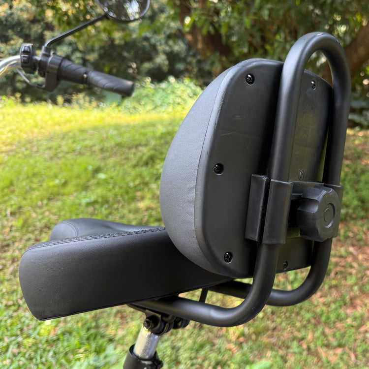 48V 350W Brushless Hub Motor Rear-Drive Foldable Cargo E-Trike 16" Tire 25km/h Top Speed 200kg Max Load 100-150km Range High