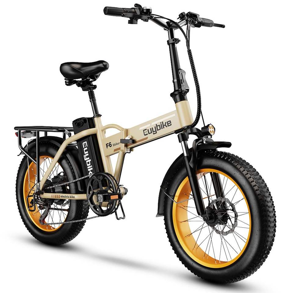 Euy F6 Long Range Electric Mountain Bike with Fat Tire Premium Electric Bike Product