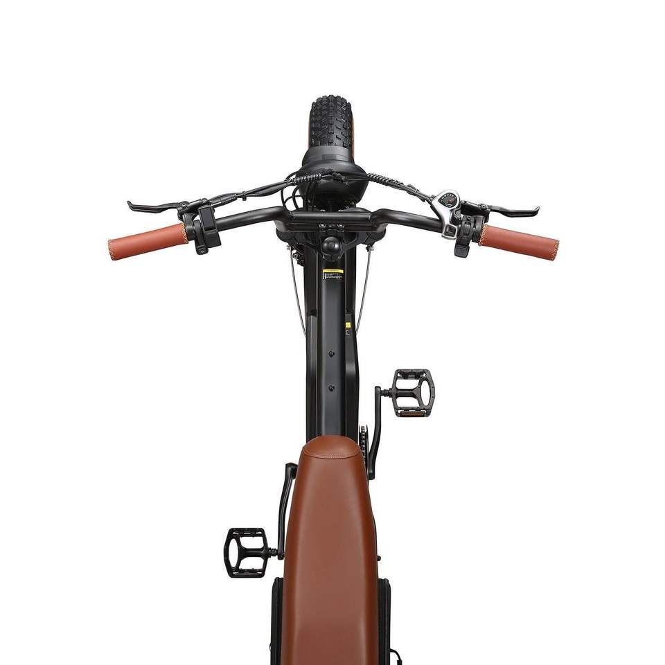 Cyclefort 4.0 Fat Tire 20-Inch Electric Mountain Bike 48V 20Ah E-Fahrrad Ebikes